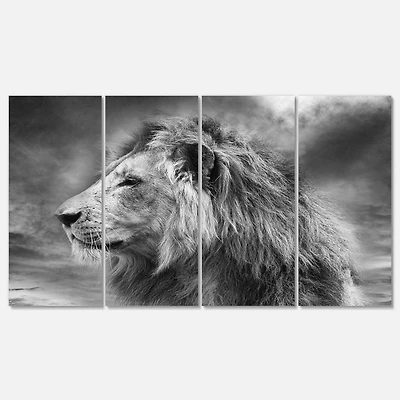Designart - Grey Wild African Lion