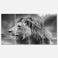 Designart - Grey Wild African Lion