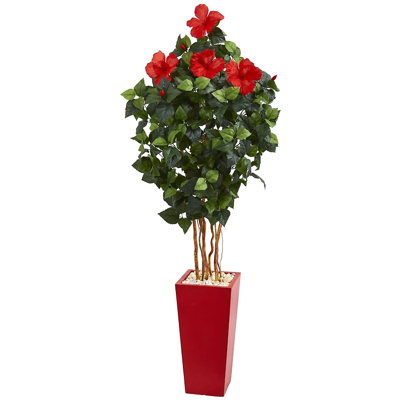 5.5ft. Hibiscus Tree in Red Tower Planter