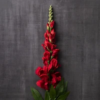 Red Snapdragon Stem by Ashland®