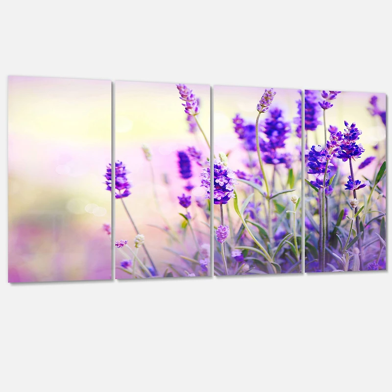 Designart - Purple Lavender Field