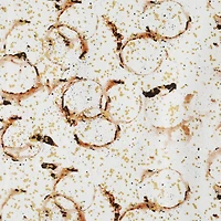 Contemporary Design Fabric Bundle by Loops & Threads™