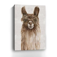 Lumaprints Suri Alpaca I Canvas Giclée