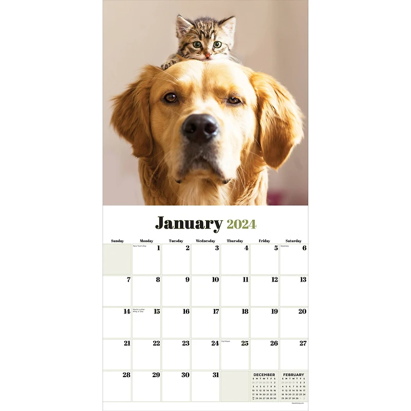 TF Publishing Furry Friends Wall Calendar