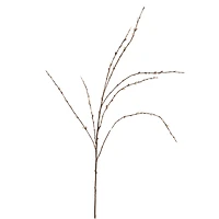 18 Pack: Pussy Willow Stem by Ashland®