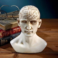 Design Toscano 6" Phrenology the Science of the Brain Victorian Replica Statue