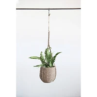 Hello Honey® Handwoven Hanging Seagrass Basket Planter