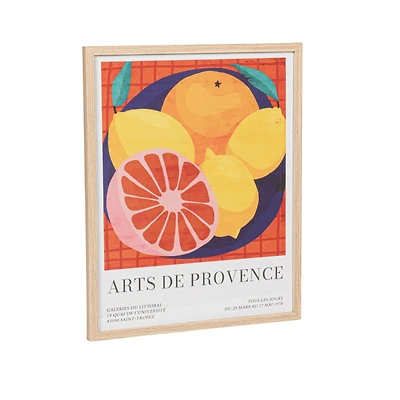 Hello Honey® Multicolor Fruit "Arts De Provence" Reclaimed Wood & Glass Framed Wall Art