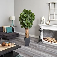 5.5ft. Fiddle Leaf Tree in Slate Planter