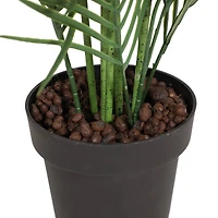 2.6ft. Potted Areca Palm Tree