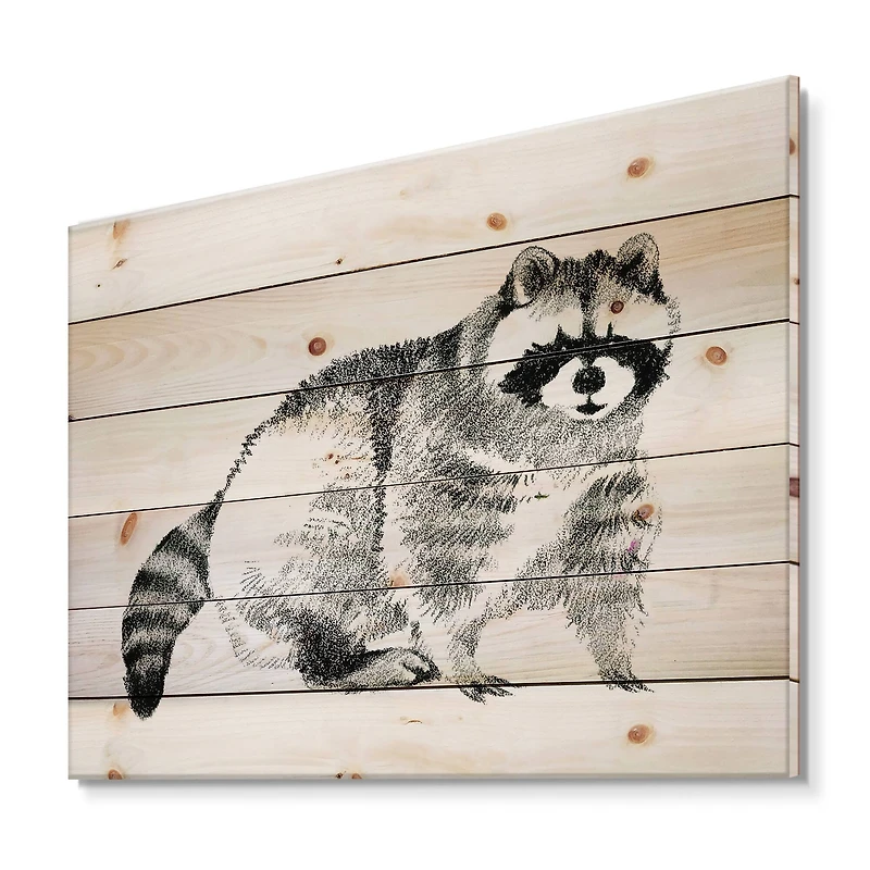 Designart - Monochrome Portrait Of Raccoon