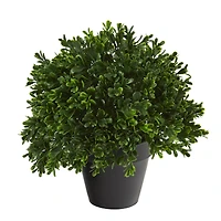 10” Potted Boxwood Topiary Plant