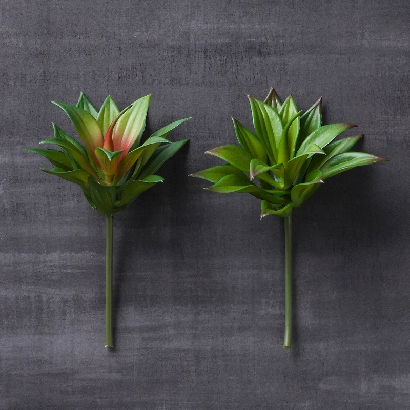 Assorted 6.5" Agave Pick by Ashland®, 1pc.