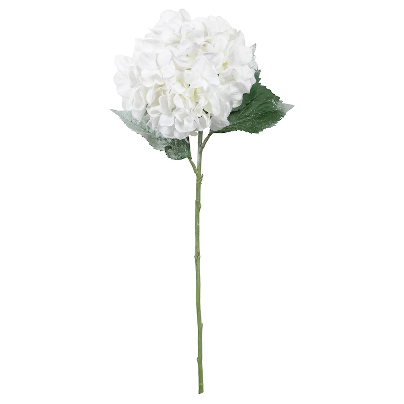 25" White Snow Hydrangea Stem by Ashland®