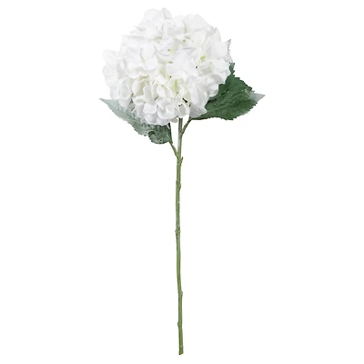 25" White Snow Hydrangea Stem by Ashland®