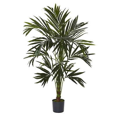 6ft. Potted Kentia Palm Silk Tree