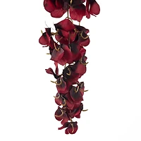 Burgundy Wisteria Stem by Ashland®