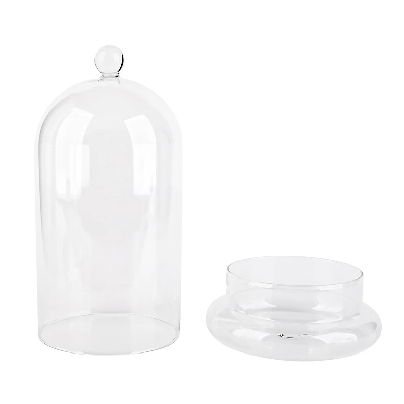 Large Glass Cloche with Base by Ashland®