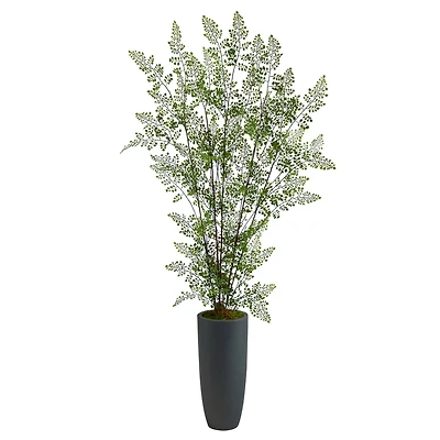 5ft. Ruffle Fern Tree in Gray Planter