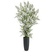 5ft. Ruffle Fern Tree in Gray Planter