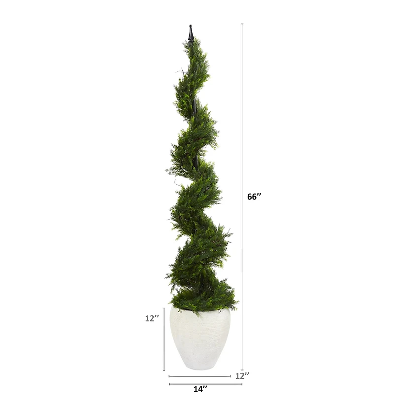 5.5ft. Cypress Spiral Tree in White Planter