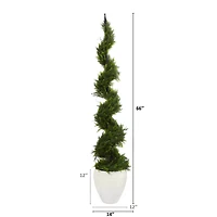 5.5ft. Cypress Spiral Tree in White Planter