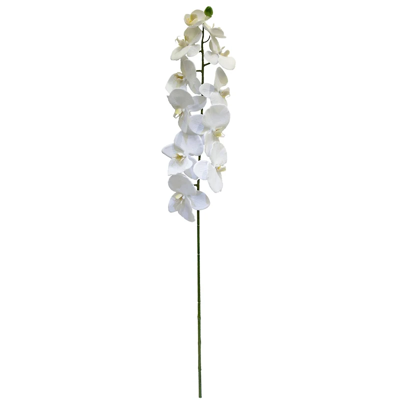 12 Pack: White Orchid Stem by Ashland®