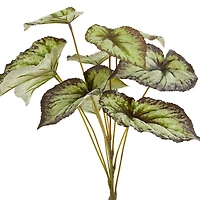 Green & Black Begonia Leaves Bush by Ashland®