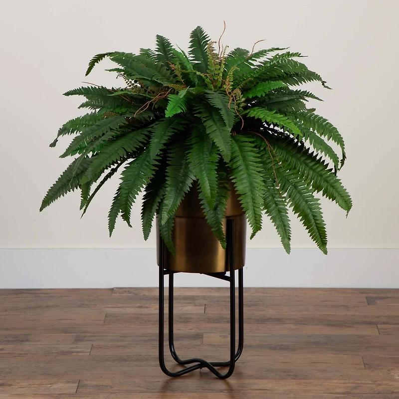 3ft. Boston Fern in Brass Metal Planter with Stand