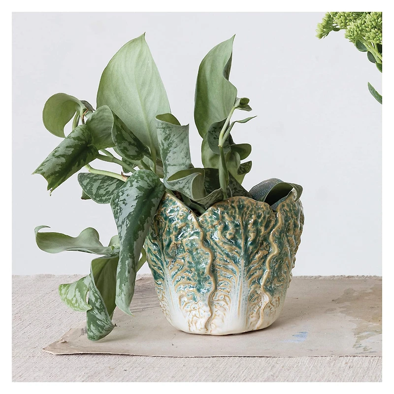 Hello Honey® 5.75" Green Reactive Glaze Embossed Stoneware Cabbage Planter