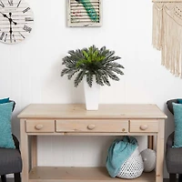 23" Potted Cycas in Decorative White Planter