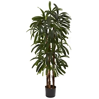 4ft. Potted Raphis Palm Tree