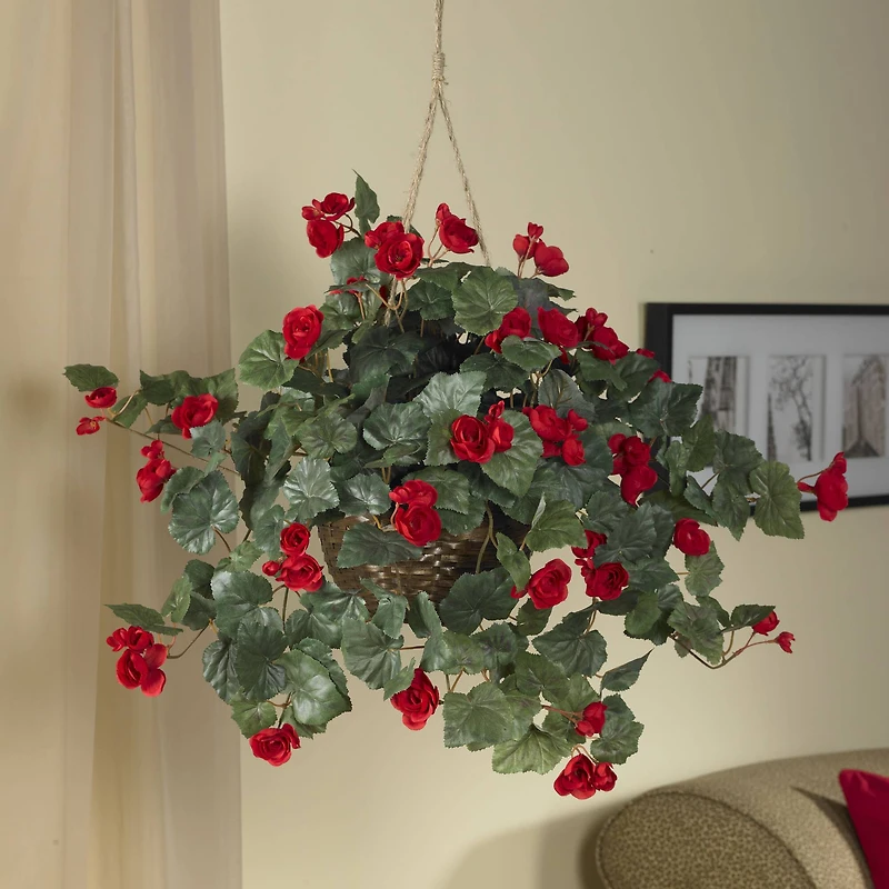 24" Red Begonia in Hanging Basket