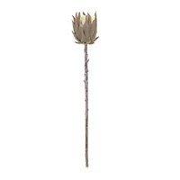 Tan Protea Stem, 6ct.