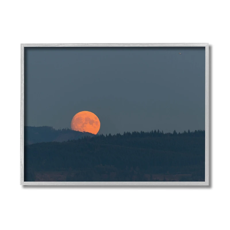 Stupell Industries Orange Moon over Dark Mountain Tree Forest in Gray Frame Wall Art