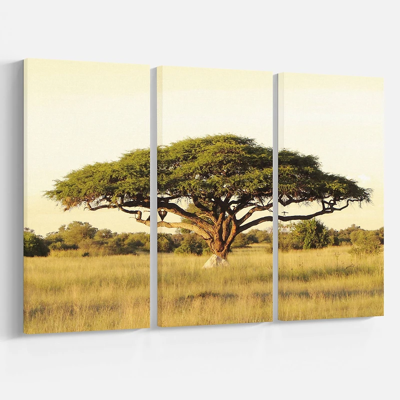 Designart - Acacia Tree on African Plain
