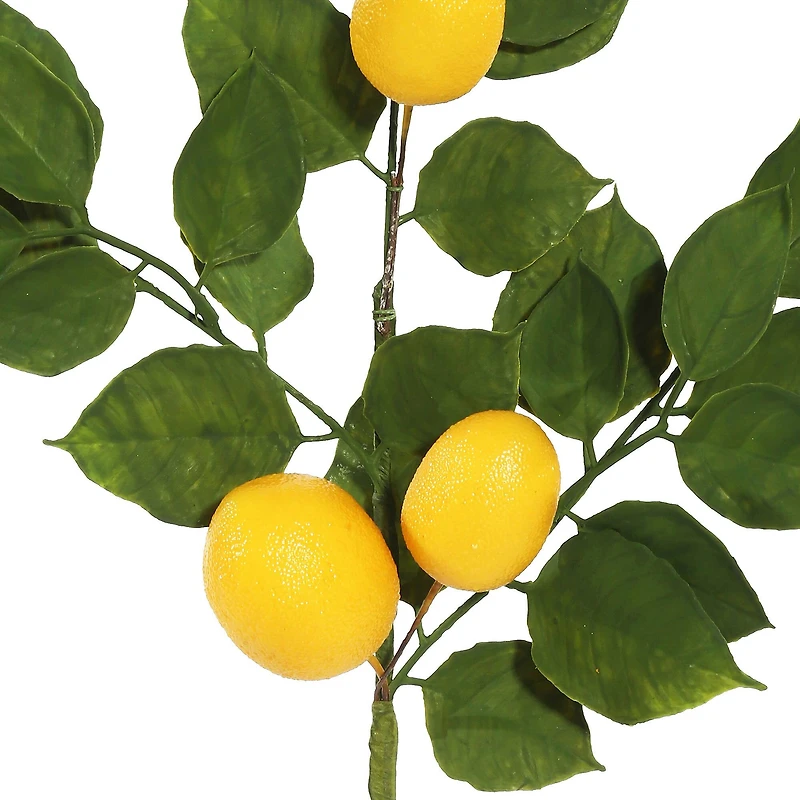 6ft. Green & Yellow Salal Leaf Lemon Garland