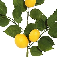 6ft. Green & Yellow Salal Leaf Lemon Garland