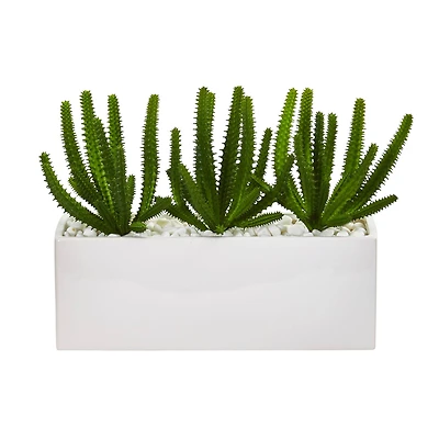 9" Finger Cactus Plant in White Vase