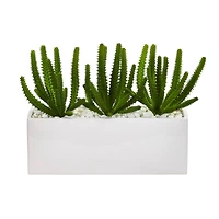 9" Finger Cactus Plant in White Vase