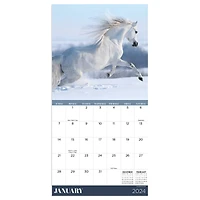 TF Publishing 2024 Horses Mini Calendar