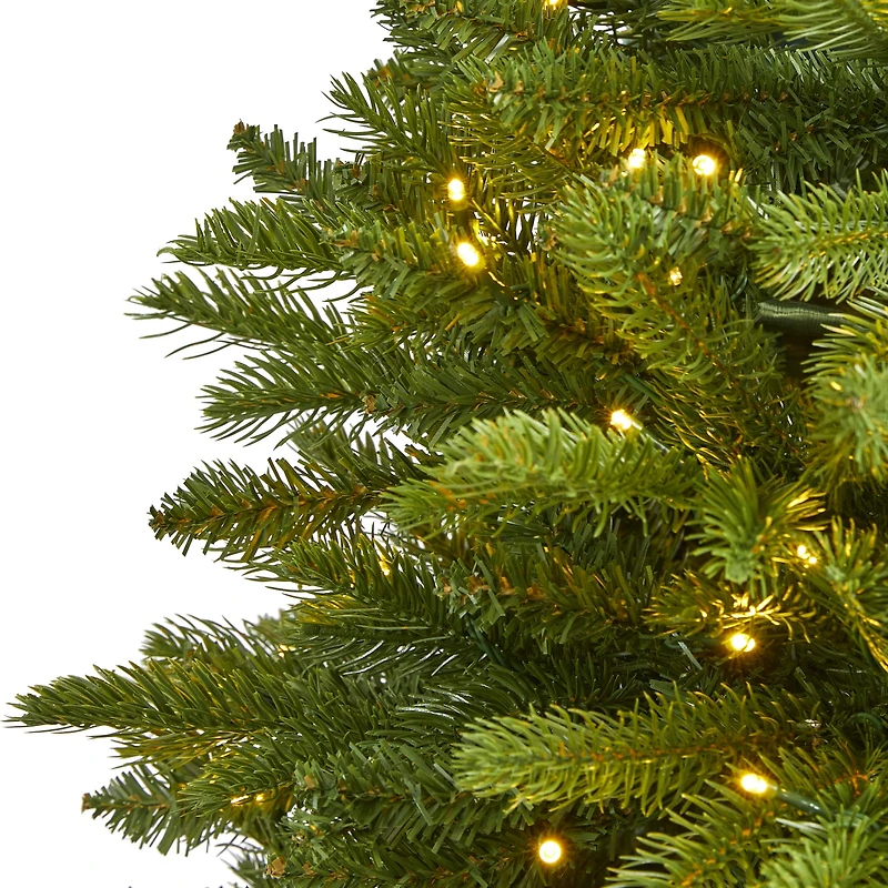 4ft. Pre-Lit Sierra Spruce Artificial Christmas Tree, Clear LED Lights