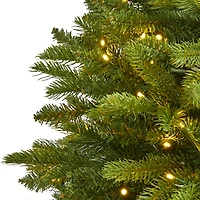 4ft. Pre-Lit Sierra Spruce Artificial Christmas Tree, Clear LED Lights