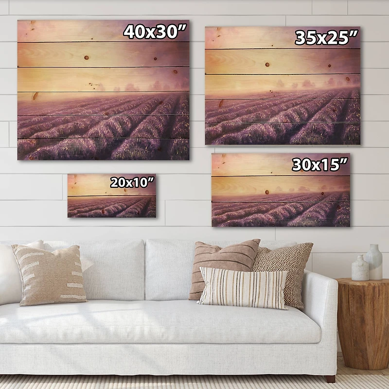 Designart - Lavender Fields During Dawn