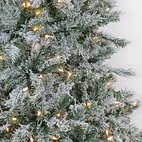 6.5ft. Pre-Lit Snowy Harwich Artificial Christmas Tree, Warm White LED Lights