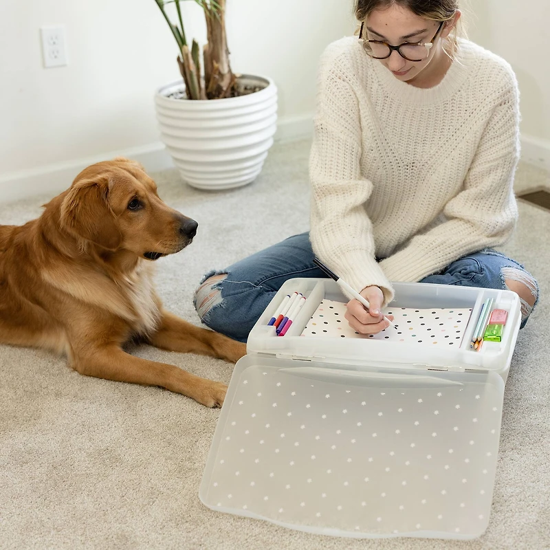Everything Mary Pink Floral Plastic Lap Desk
