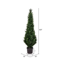 5ft. Potted Cedar Tree