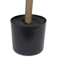 6ft. Potted Green Nandina Tree