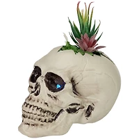 9" LED Lighted Succulent Halloween Skull Planter