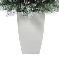 3.5ft. Pre-Lit Frosted British Columbia Mountain Pine Artificial Christmas Tree in White Planter, Clear Lights